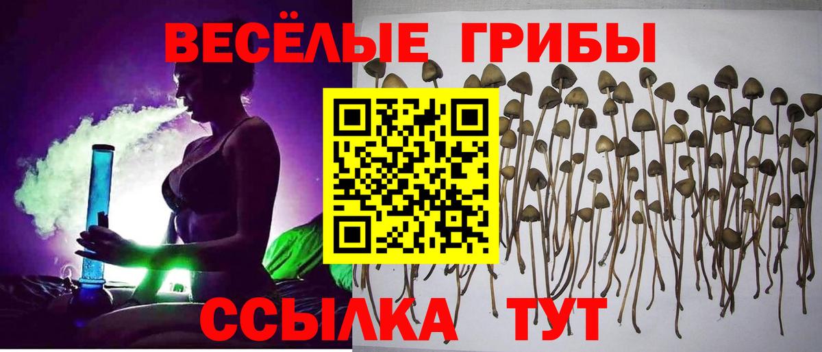 Псилоцибиновые грибы ЛСД  Вход с VPN  Галлюциногенные грибы прущие грибы  купить наркотик  Ижевск 